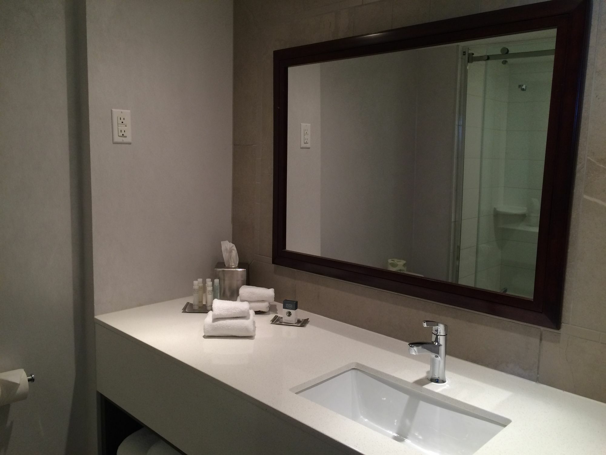 Chateau Cartier Hotel & Resort Ascend Hotel Collection Gatineau Eksteriør bilde